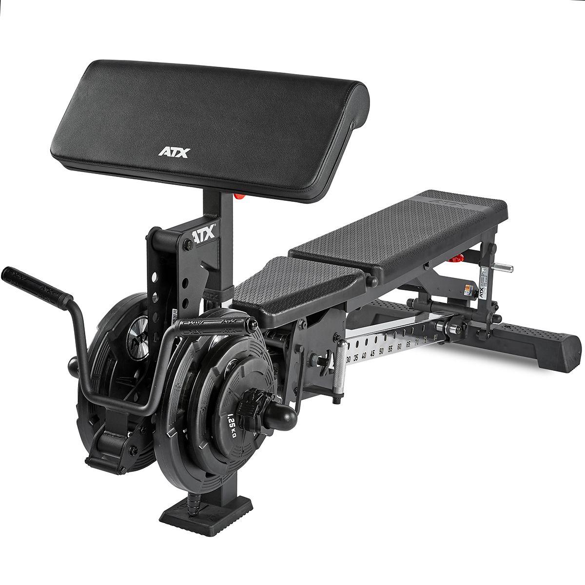 Nærbilde av Biceps curl tilbehør for treningsbenk 100 kg