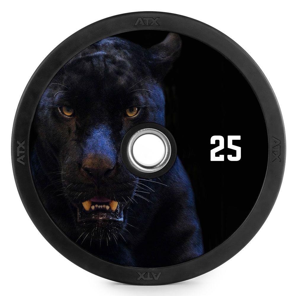 DYO Full Design Bumper Plates 5 kg gummi 50 mm bakside