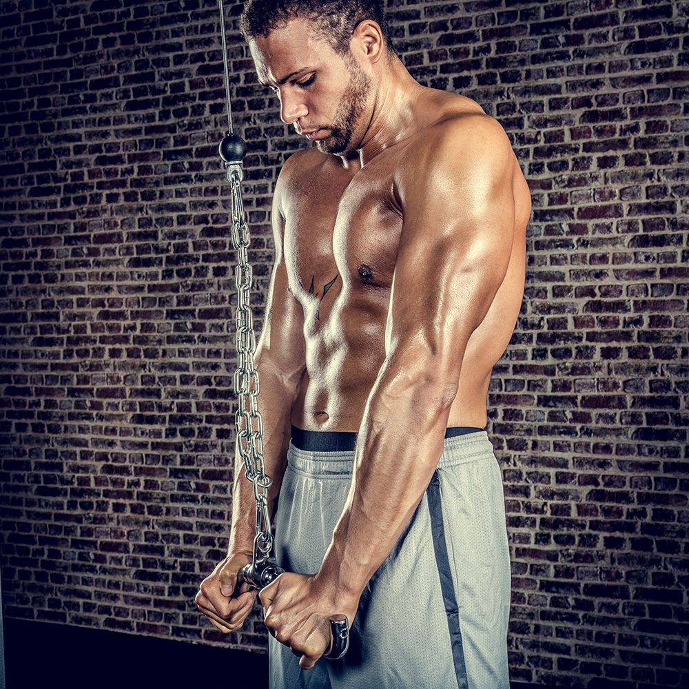 Triceps- og bicepsgrep forkrommet stål med svivel, 38 cm - Megafitness Shop