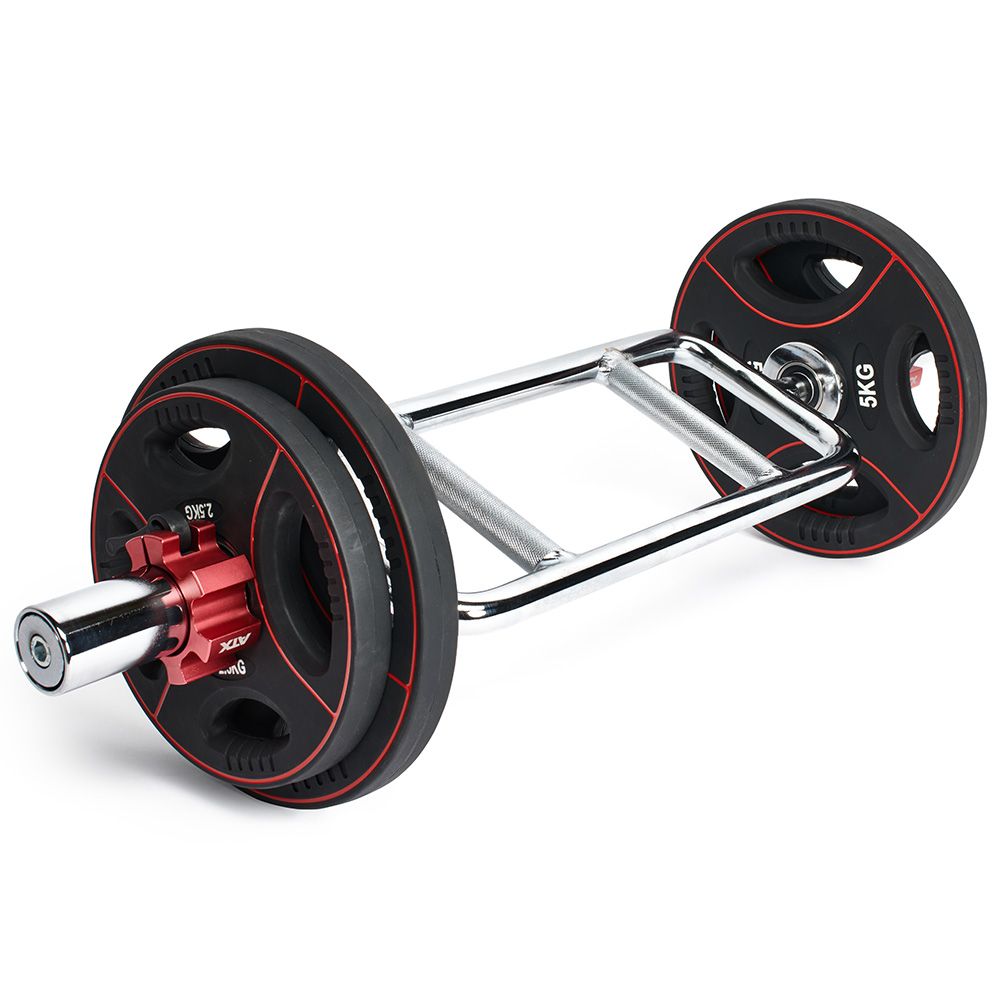 Montert Tricepsstang 50 mm 88 cm krom 9,6 kg på stativ