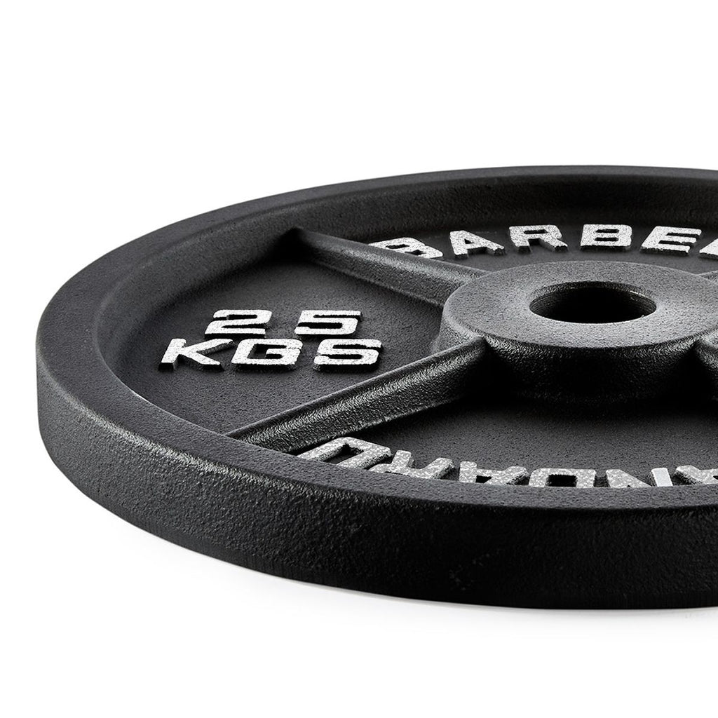 Vektskiver i støpejern 50 mm 2,5 kg bakside