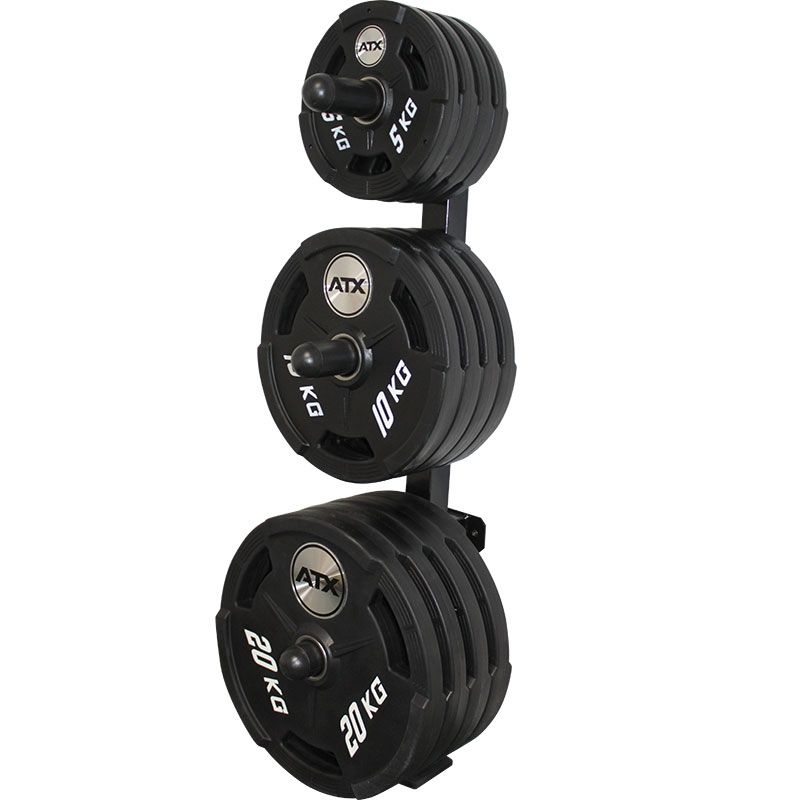 Vektskivepinner 220 mm for 50 mm stang, par - ATX